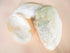 giant pearl white mussel shell half
